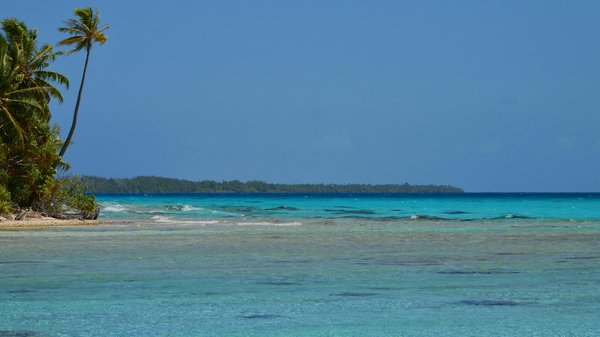 Wat zijn de meest populaire wandelroutes in de Belgische Ardennen?