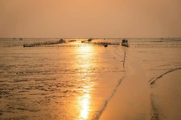 Wat zijn de voordelen van een cruisereis met een focus op ecotoerisme?